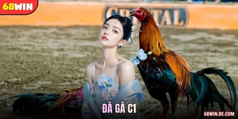 Đá Gà C1 68WIN – Nơi Đỉnh Cao Bùng Nổ Từng Pha Ra Đòn