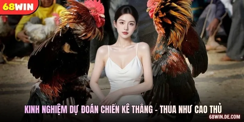 Kinh nghiệm dự đoán chiến kê thắng - thua như cao thủ